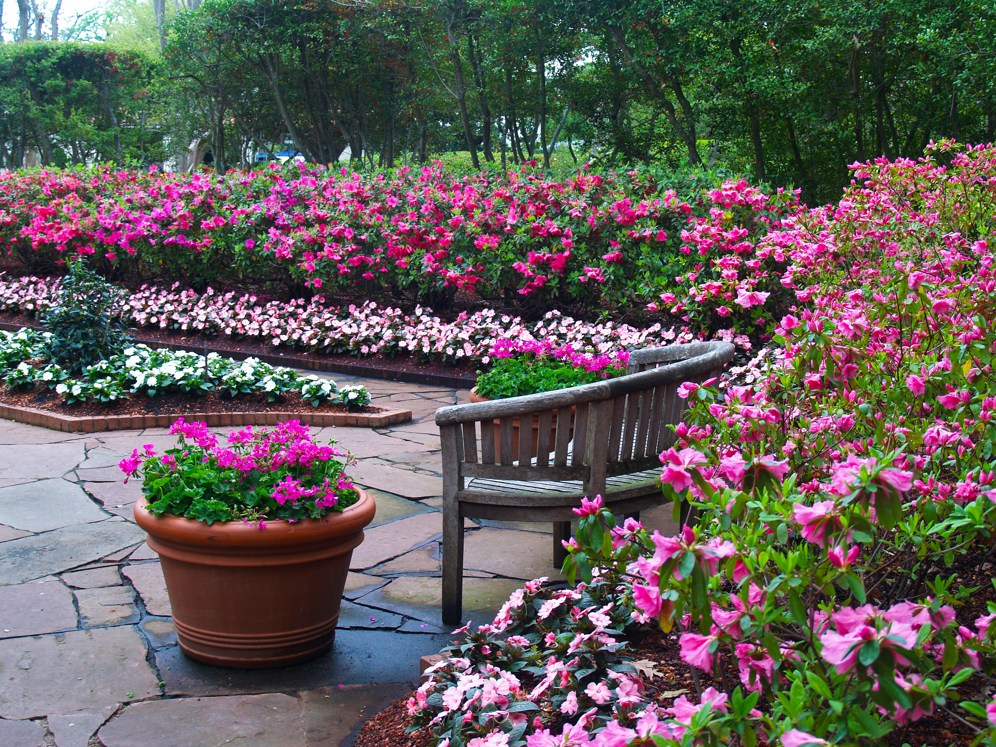 Nancy's Garden